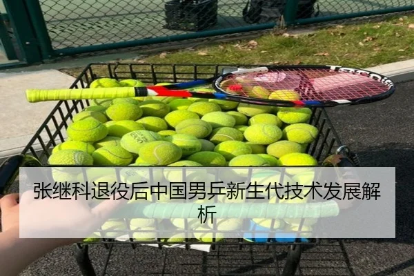 张继科退役后中国男乒新生代技术发展解析